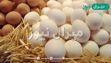 تفسير حلم رؤية البيض في المنام