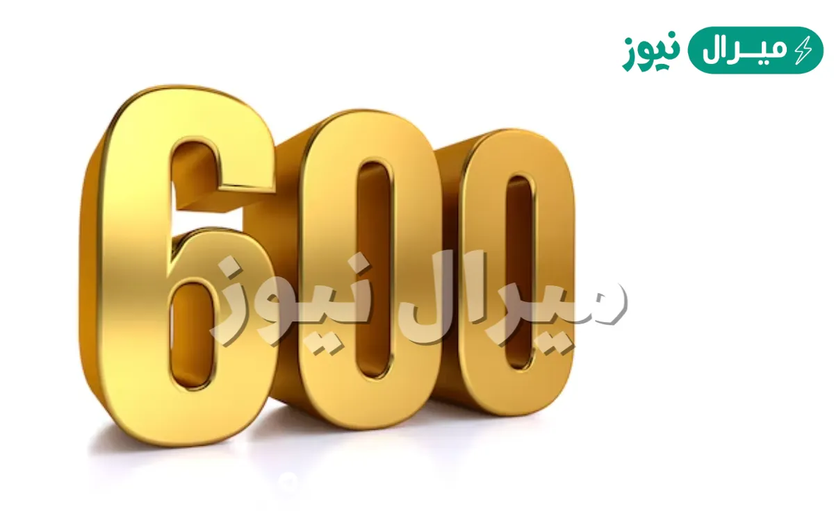 تفسير حلم رقم 600 في المنام لابن سيرين .. ما هو رمز الرقم 600 في المنام
