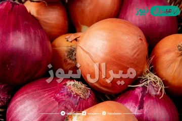 تفسير رؤية البصل في المنام للمتزوجة والعزباء لابن سيرين واهم دلالاته