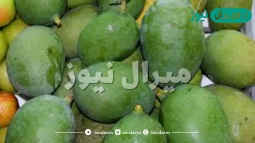 تفسير رؤية المانجو الخضراء في المنام لابن سيرين