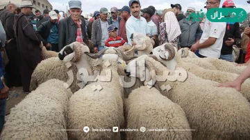 توقيت عيد الأضحى المبارك في الجزائر وكم باقي عليه