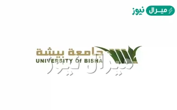 جامعة بيشة التسجيل