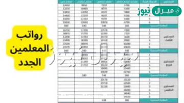 سلم رواتب المعلمين الجديد .. كم راتب المعلمين الجدد ؟