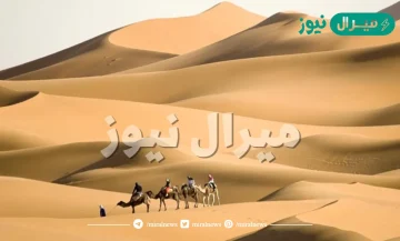 عائلة الصراف من وين