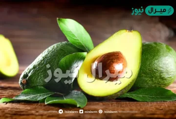 فوائد الافوكادو للانسان ومحاذيره