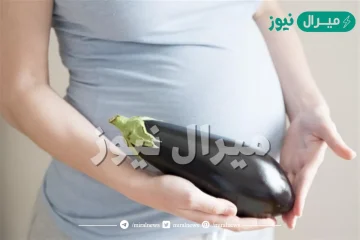 فوائد الباذنجان الني للتنحيف وللحامل