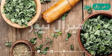 فوائد البردقوش للحمل وتجارب البردقوش