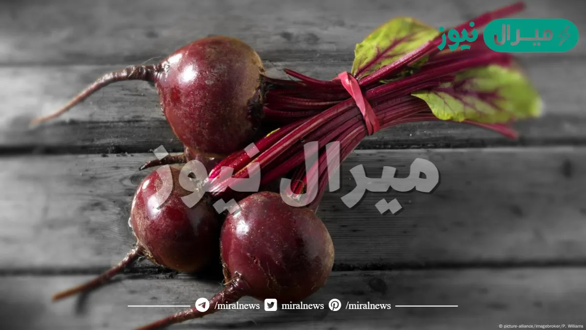 فوائد البنجر الاحمر او الشمندر كاملة
