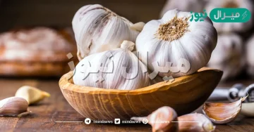 فوائد الثوم وتناوله على صحة الانسان