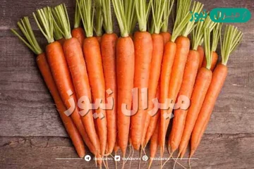 فوائد الجزر للانسان والقيمة الغذائية له