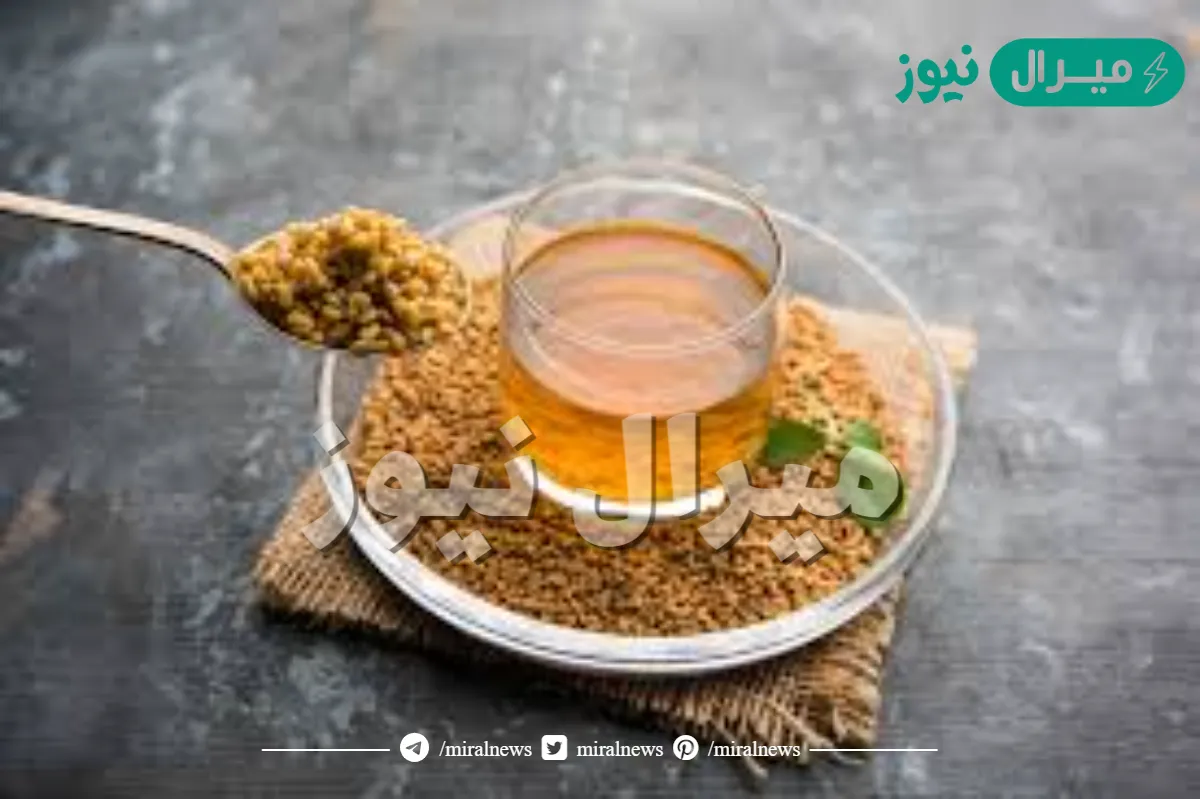 فوائد الحلبة لجسم الانسان وصحة القلب