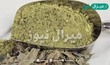 فوائد السدر لتكثيف الشعر تجربتي مع السدر لتقوية الشعر