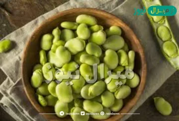 فوائد الفول الاخضر المطبوخ