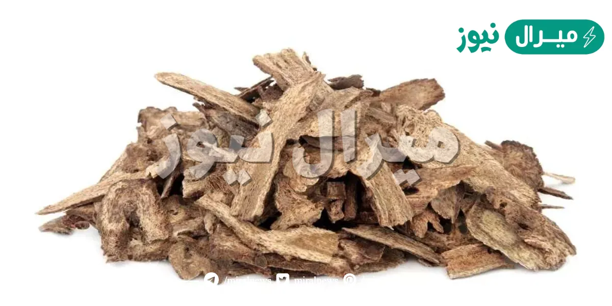 فوائد القسط الهندي