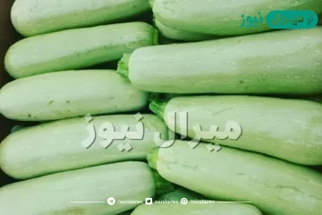 فوائد الكوسا للانسان