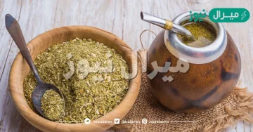 فوائد المتة للانسان واضرارها