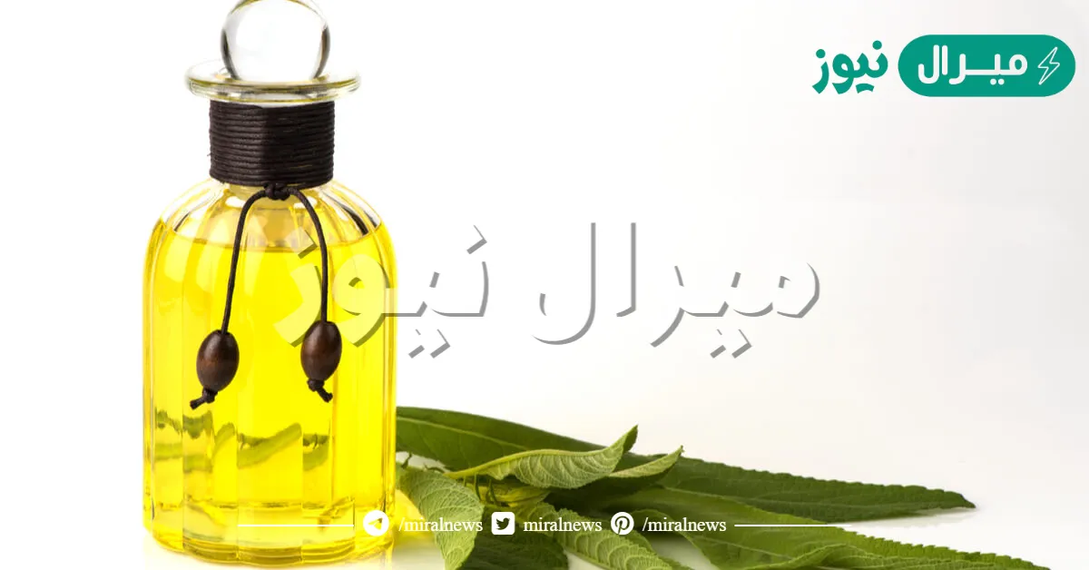 فوائد زيت الكافور العامة وأضراره