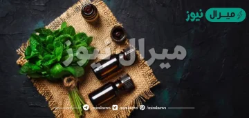 فوائد زيت النعناع لسرعة القذف