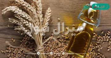 فوائد زيت جنين القمح للجسم