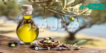 فوائد شرب زيت الزيتون الصحية للجسم