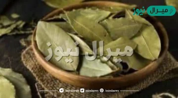 فوائد شرب مغلي ورق السدر للسحر