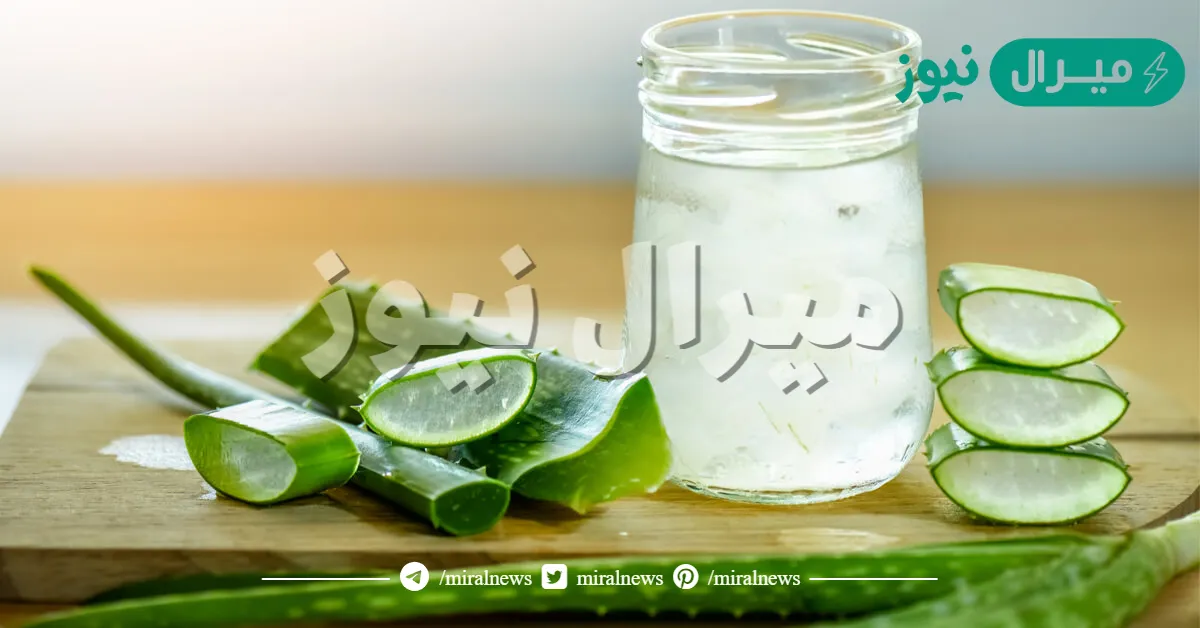 فوائد عصير الصبار الصحية للجسم