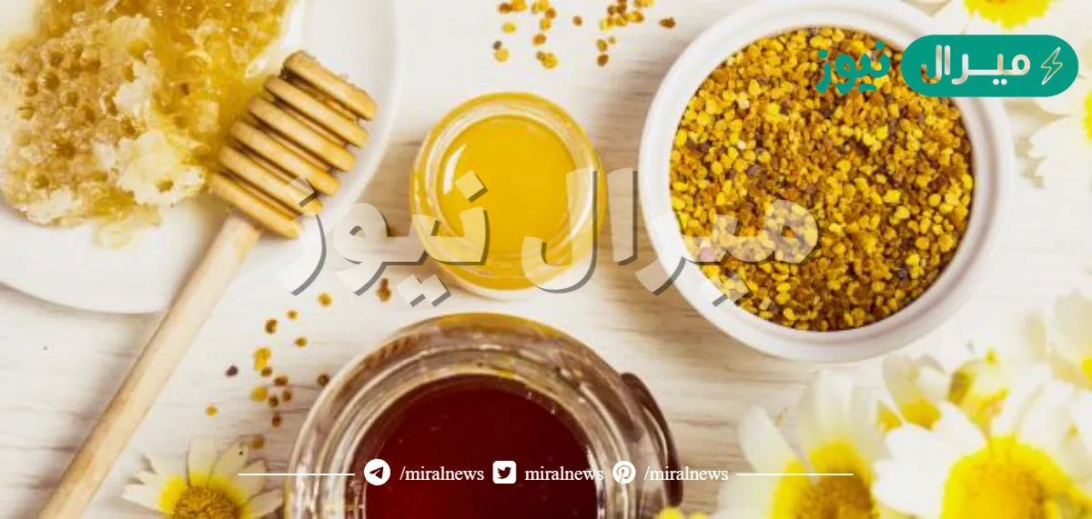 فوائد غذاء ملكات النحل الصحية