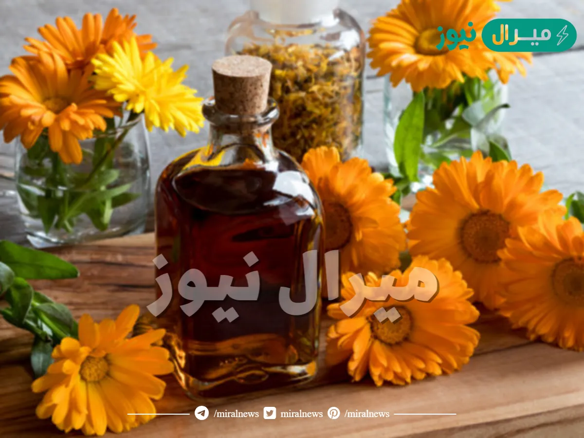 فوائد نبات الأذريون الطبية