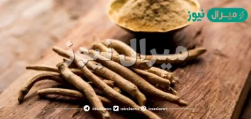 فوائد نبات الأشواجندا للانسان