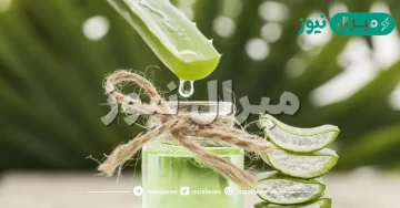 فوائد نبات الصبار في تقوية المناعة
