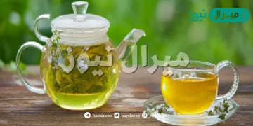 فوائد واضرار الشاي الاخضر للانسان