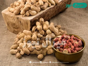 فوائد واضرار الفول السوداني