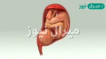 كيف اعرف ان الجنين نزل بالحوض