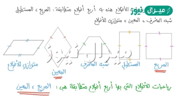 ما هو الشكل الرباعي الذي فيه ضلعان فقط متوازيان