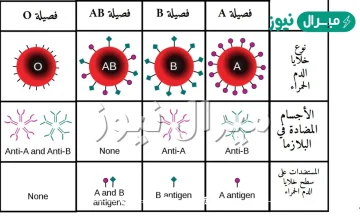 ما هو النمط الوراثي لتوارث عامل ريسوس