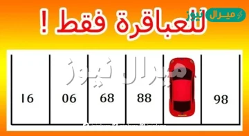 ما هو رقم الموقف الذي تتواجد فيه السيارة