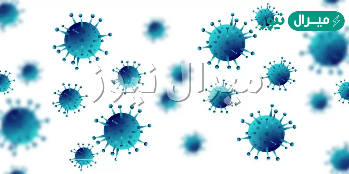 ما هو فيروس ماربورغ اسباب الاصابة والاعراض وطرق العلاج