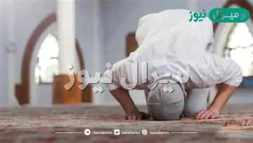 ماذا تقول عند سجود التلاوة