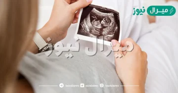 متى يبدأ نبض الجنين في اي شهر