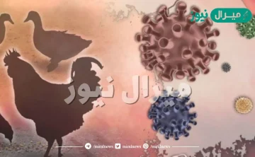معلومات عن انفلونزا الطيور