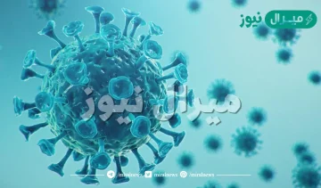 معلومات عن فيروس كورونا كوفيد 19