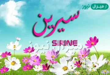 معنى اسم سيرين sirin وأصله في اللغة العربية