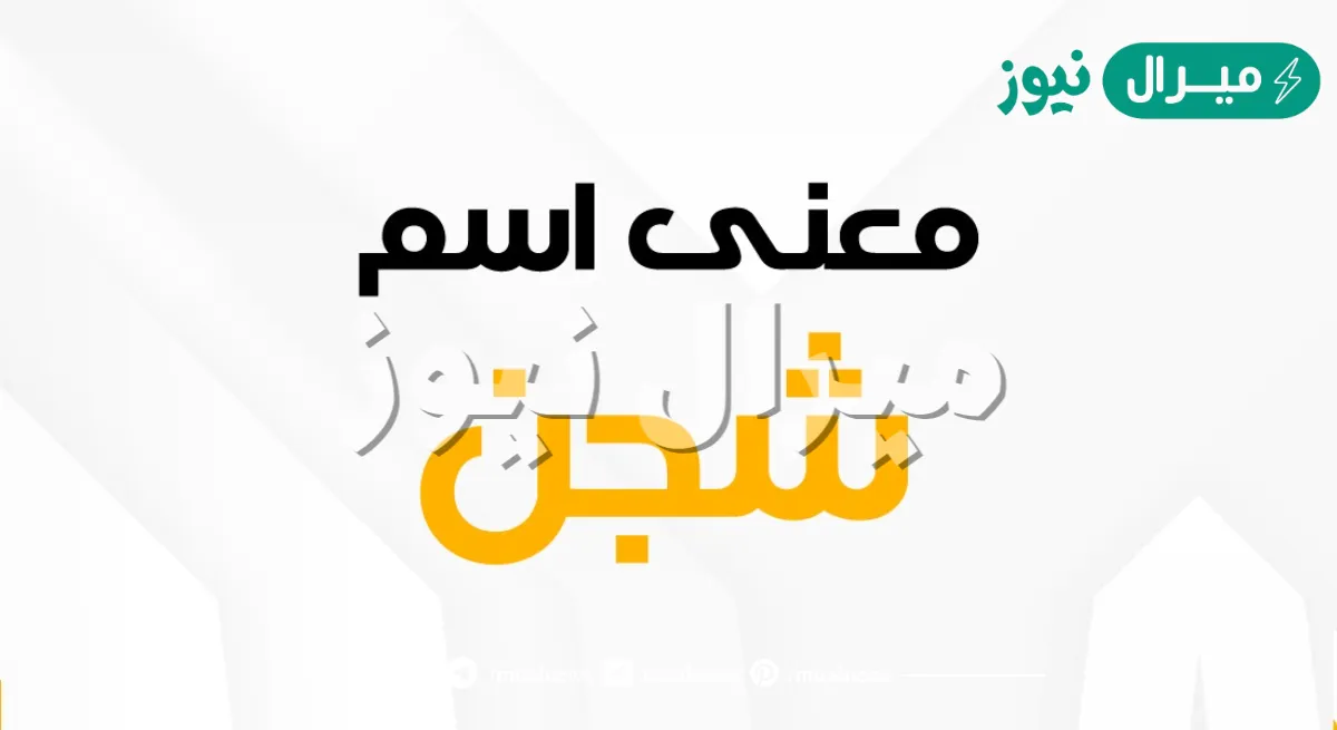 معنى اسم شجن Shigen بالتفصيل