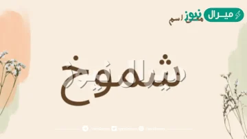 معنى اسم شموخ Shmokh وأصله في اللغة العربية