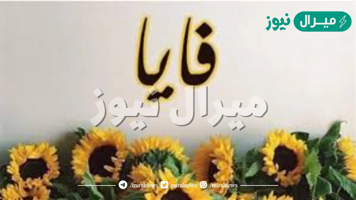 معنى اسم فايا faya وأصله في اللغة العربية