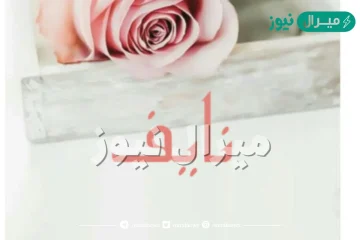 معنى اسم نايف وصفات حامل الاسم وحكم تسميته في الاسلام