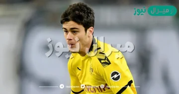 من هو اللاعب جيوفاني رينا ويكيبيديا