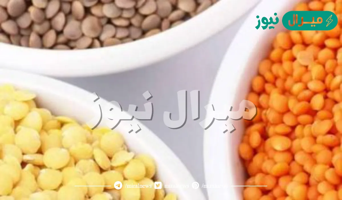 هل العدس يسمن ويزيد الوزن