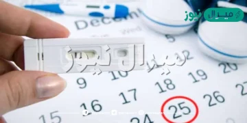 هل يحدث حمل بعد الدورة مباشرة؟