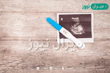 هل يمكن الحمل عن طريق المؤخرة